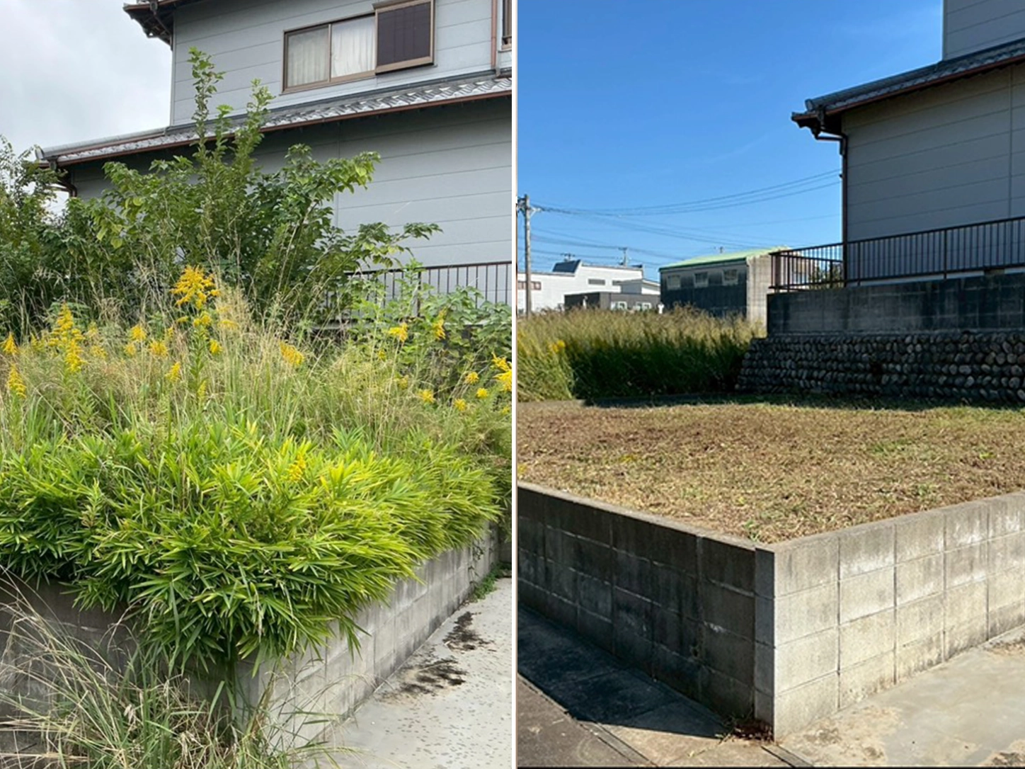 草刈り作業の事例